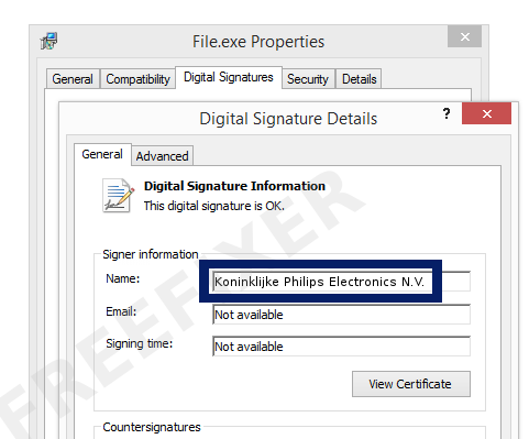 Screenshot of the Koninklijke Philips Electronics N.V. certificate